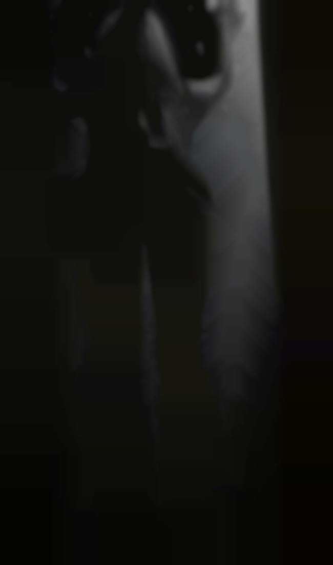 Zdjęcie 1